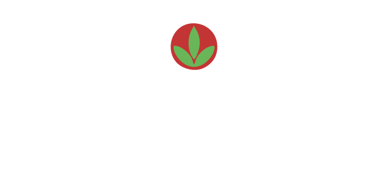 logo_sis_2020_white.png